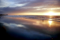 shore sunrise 4